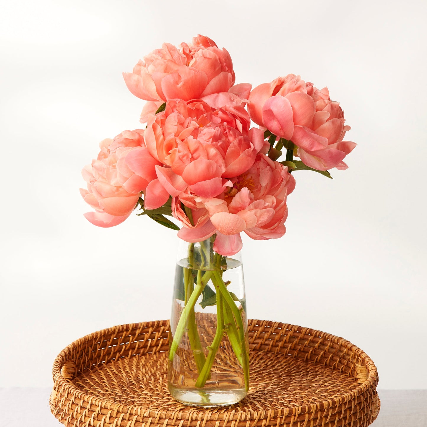 Coral Peonies