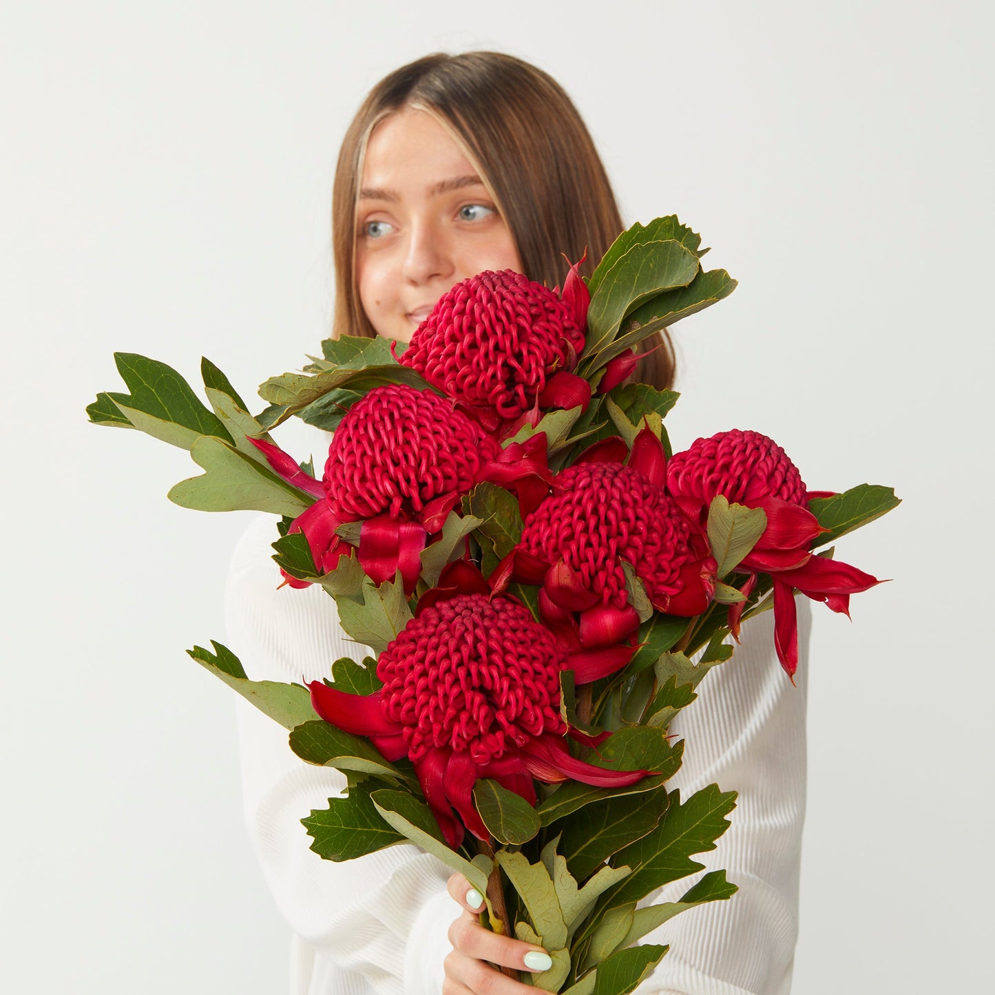 Native Waratahs