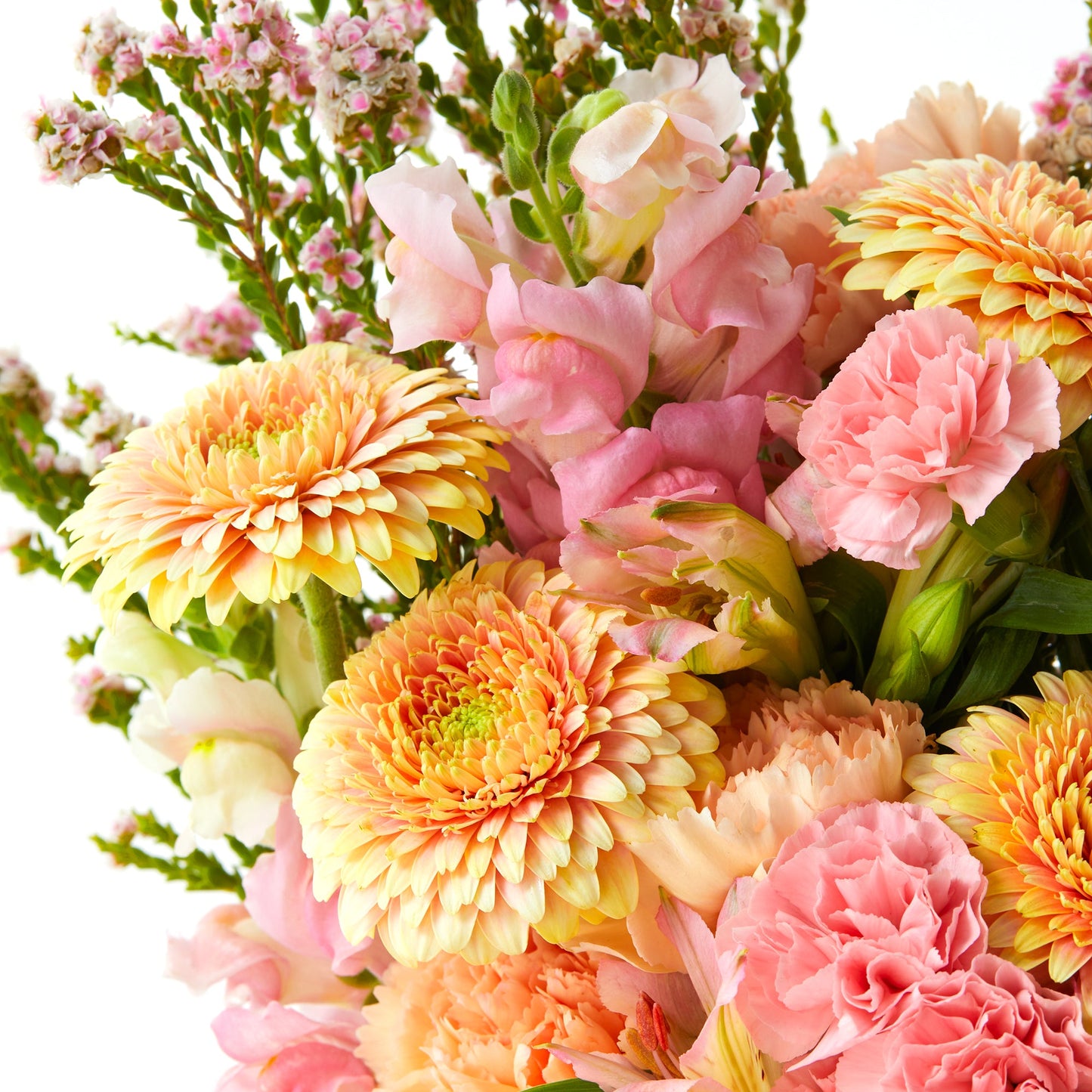 The Maeve + vase
