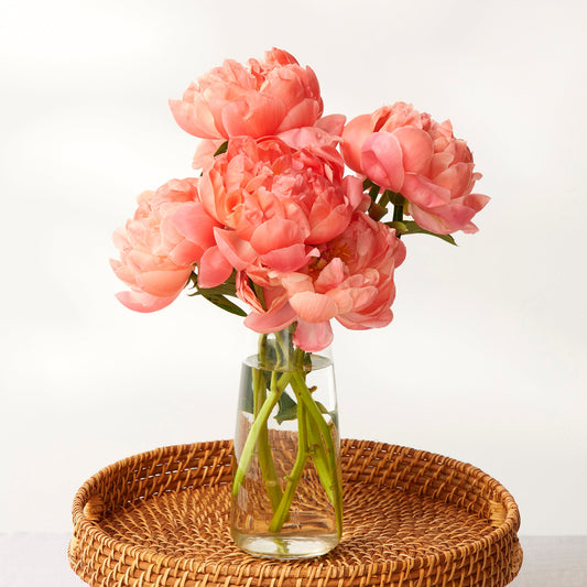 Coral Peonies