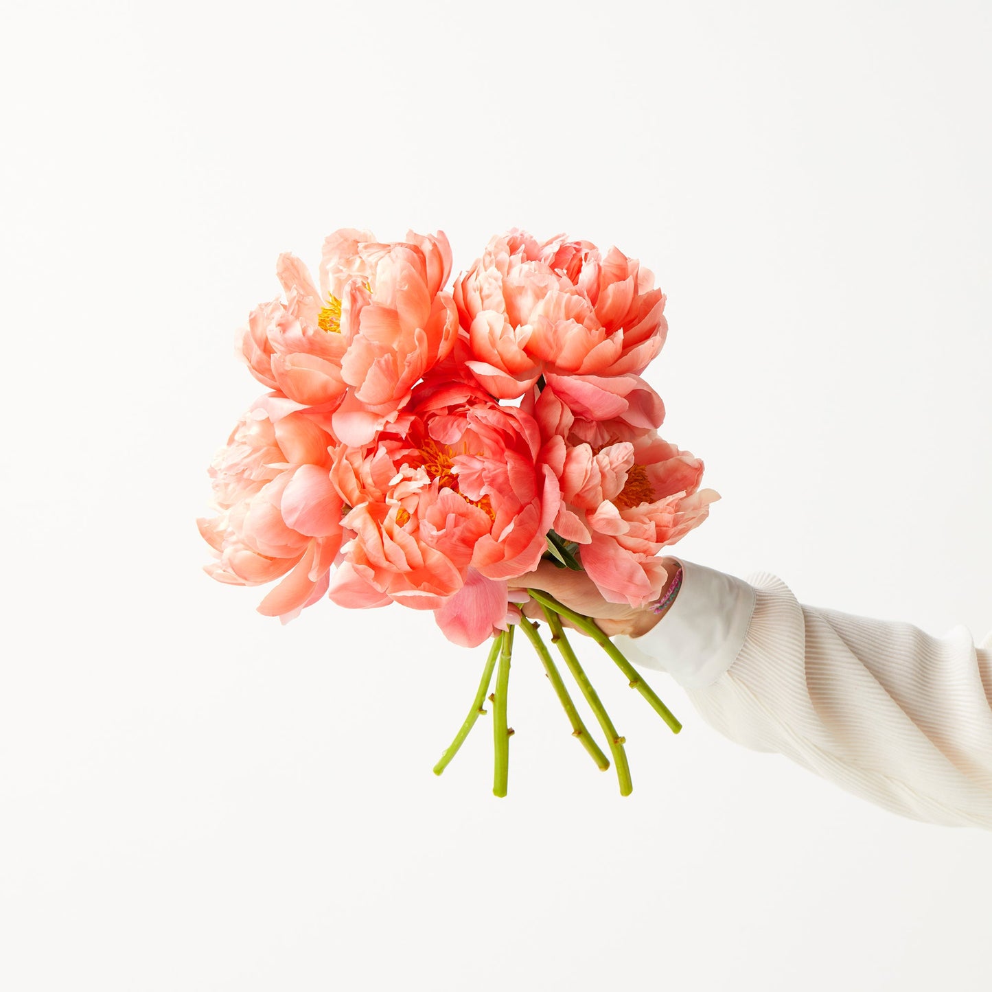 Coral Peonies