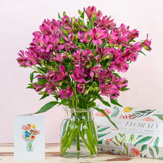 Deluxe Purple Alstromeria - Floraly Australia