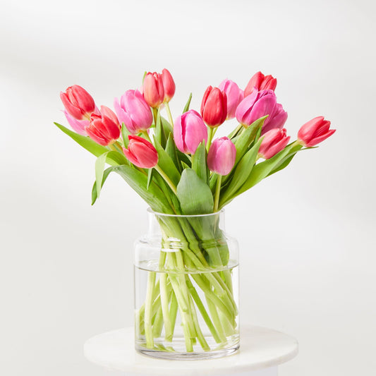 Mixed Tulips